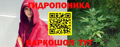 индика Ливны